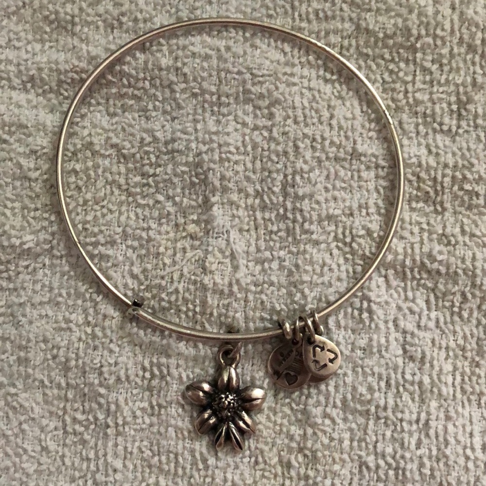 Alex and Ani bracelet